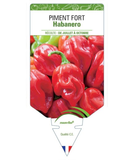 PIMENT FORT HABANERO