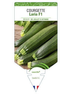 COURGETTE LARIA F1