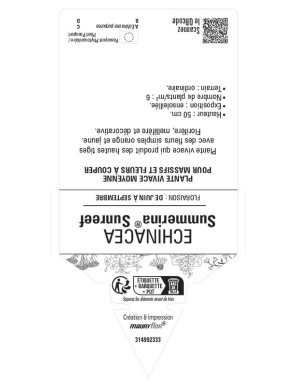 Rudbeckia SUMMERINA® SUNREEF