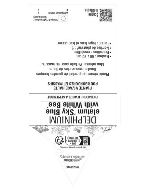 DELPHINIUM (elatum) Sky Blue with White Bee