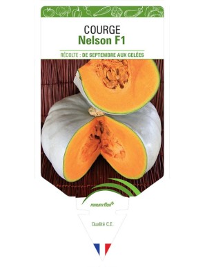 COURGE NELSON F1