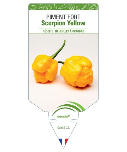 PIMENT FORT SCORPION YELLOW