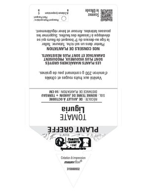 TOMATE LIGURIA PLANT GREFFÉ