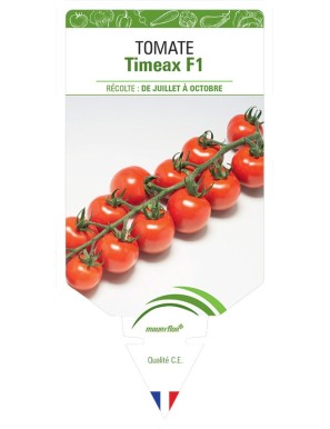 TOMATE TIMEAX F1