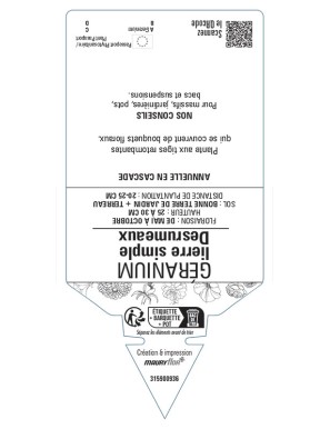 GÉRANIUM LIERRE SIMPLE DESRUMEAUX