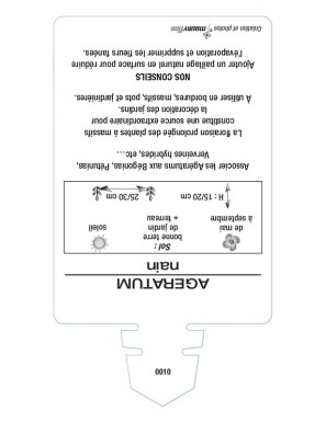 AGERATUM NAIN (bleu)