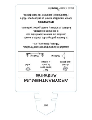 ARGYRANTHEMUM voir ANTHEMIS (varié)