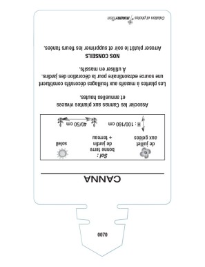 CANNA (rouge orangé à feuillage brun)