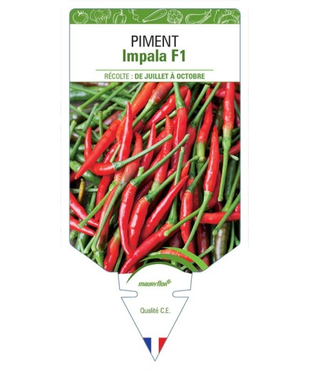 PIMENT IMPALA F1