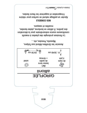 GIROFLEE (allionii jaune)