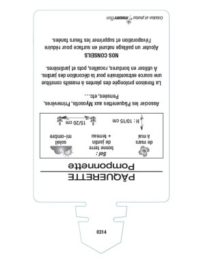 PAQUERETTE POMPONNETTE (blanc)