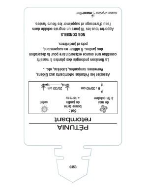 PETUNIA RETOMBANT (rouge)