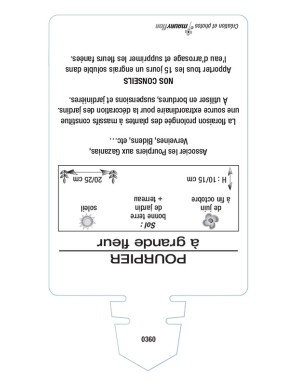 POURPIER À GRANDE FLEUR (varié)