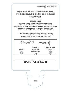 ROSE D'INDE (orange)