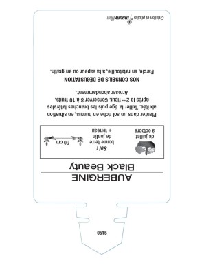 AUBERGINE BLACK BEAUTY