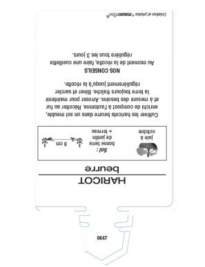 HARICOT BEURRE jaune)