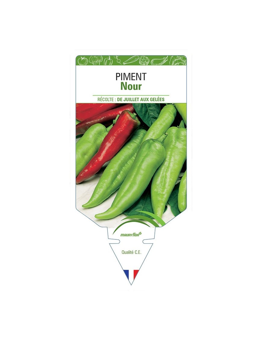 PIMENT NOUR