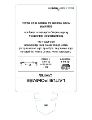 LAITUE (pommée) DIVINA