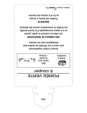 POIRÉE VERTE À COUPER