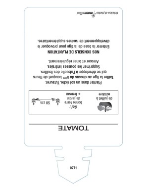 TOMATE (sans nom - Fruits allongés)