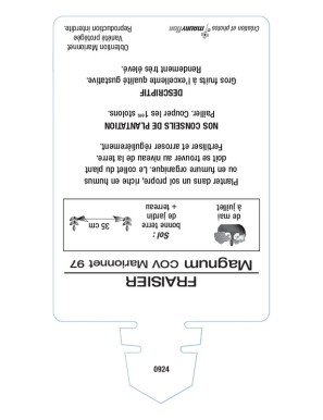 FRAISIER MAGNUM COV MARIONNET 97
