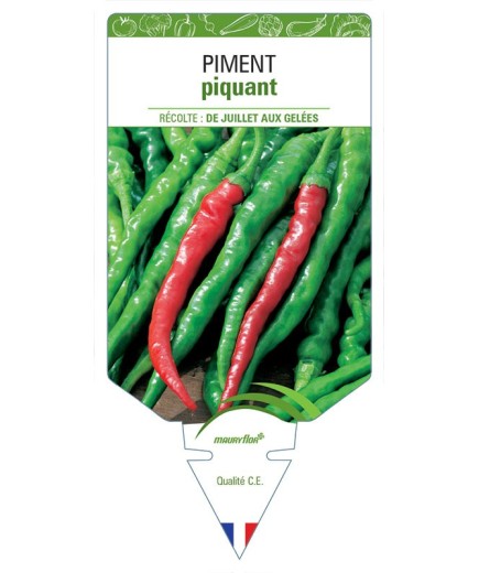 PIMENT PIQUANT