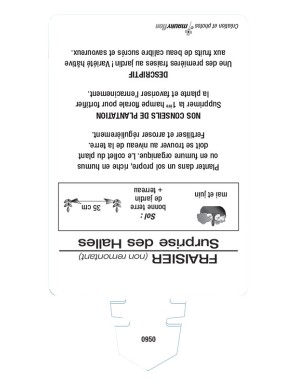FRAISIER SURPRISE DES HALLES