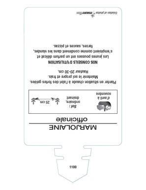 MARJOLAINE (officinale)
