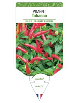 PIMENT TABASCO