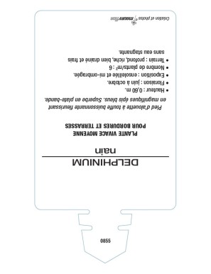 DELPHINIUM NAIN (bleu)