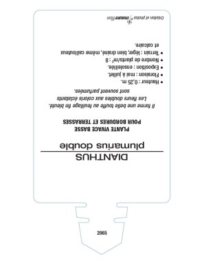 DIANTHUS plumarius voir ŒILLET mignardise double (varié)