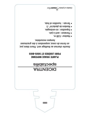 DICENTRA (spectabilis 'Alba') voir CŒUR DE MARIE