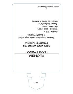 FUCHSIA ‘Tom Thumb’