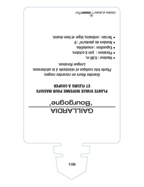GAILLARDIA 'Bourgogne' (rouge)