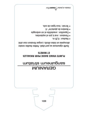 GERANIUM strié (rose)*