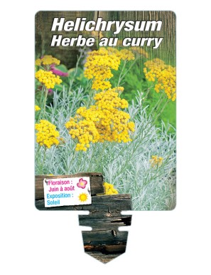 hemophilie.neck@aphp.fr