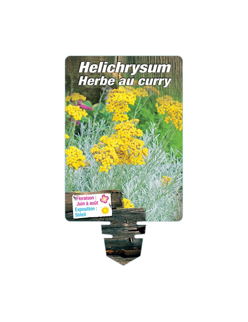 hemophilie.neck@aphp.fr