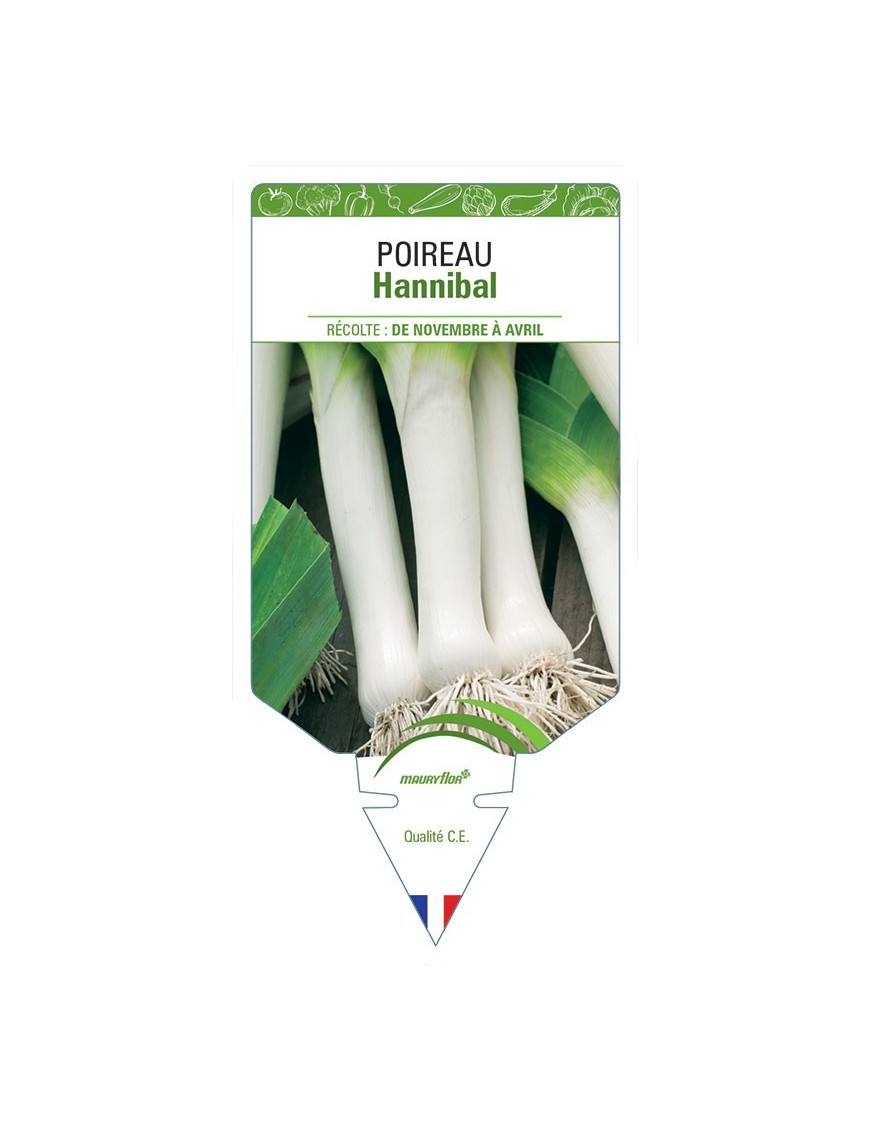 POIREAU HANNIBAL