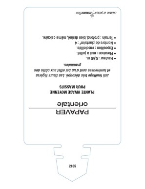 PAVOT D'ORIENT (orangé)