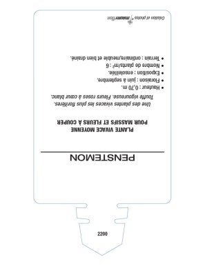 PENSTEMON (rose coeur blanc)*