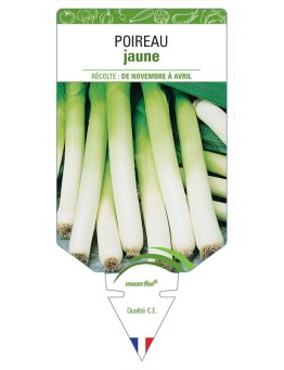 POIREAU JAUNE