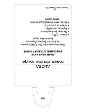 ROSE TRÉMIÈRE DOUBLE (rouge)