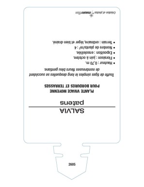 SALVIA patens voir SAUGE gentiane (bleu)