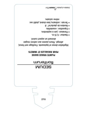 SEDUM floriferum 'Weihenstephaner Gold'