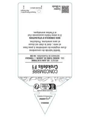 CONCOMBRE CROKDELIS F1