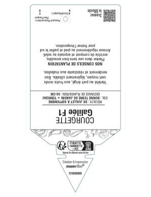 COURGETTE GALILÉE F1