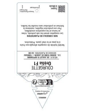 COURGETTE ORÉLIA F1