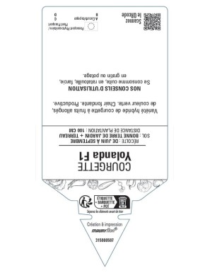 COURGETTE YOLANDA F1