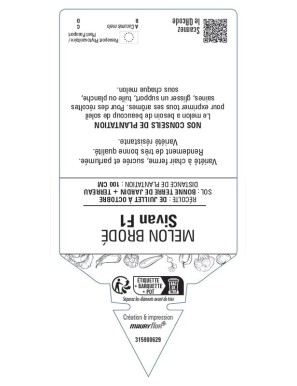 MELON SIVAN F1 (BRODÉ)