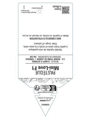 PASTÈQUE MINI-LOVE F1